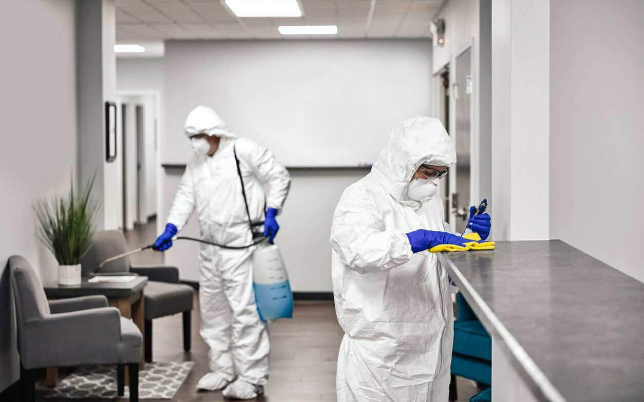 ФОТО Обработка офиса от вредителей в Романовке | подробно