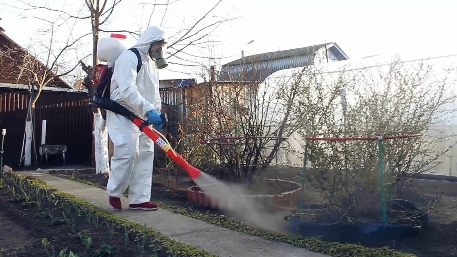 ФОТО Уничтожение муравьёв в Романовке