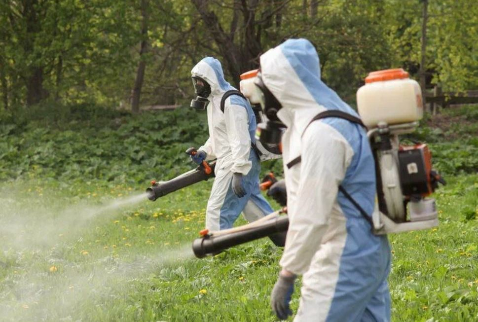 ФОТО Что такое дезинсекция в Романовке? | подробно