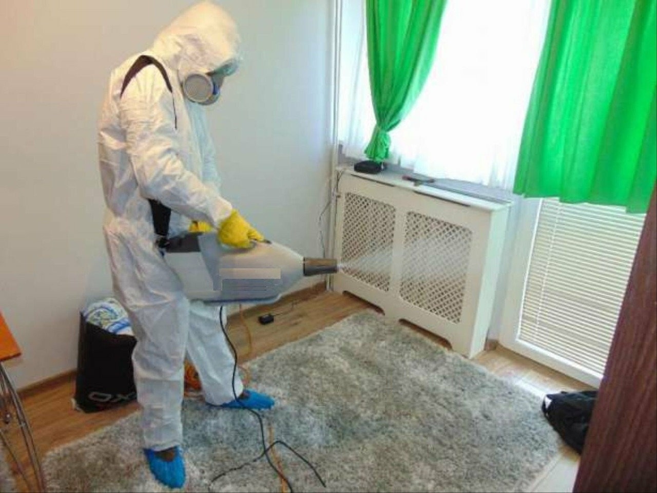 ФОТО Сколько времени занимает обработка при дезинсекции в Романовке? | подробно