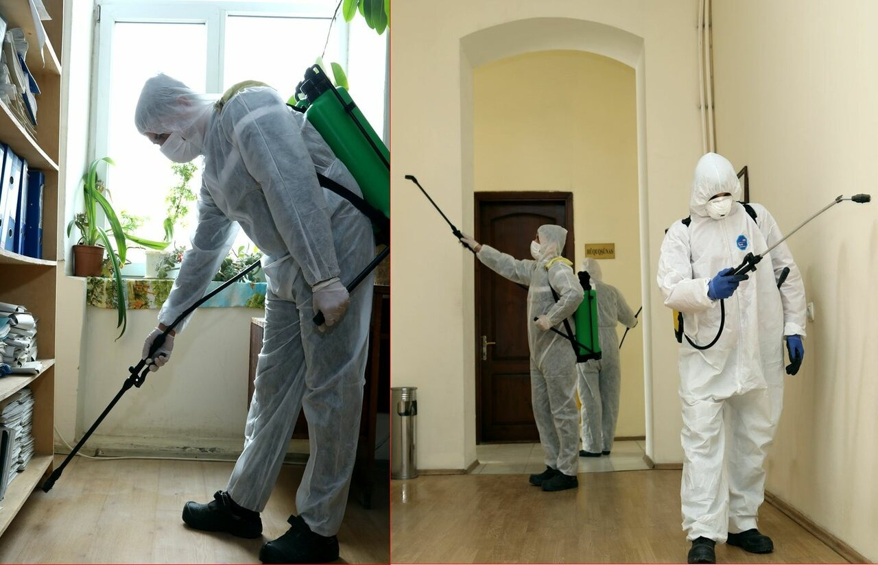 ФОТО Требуется ли лицензия для дезинсекции и дезинфекции в Романовке? | подробно