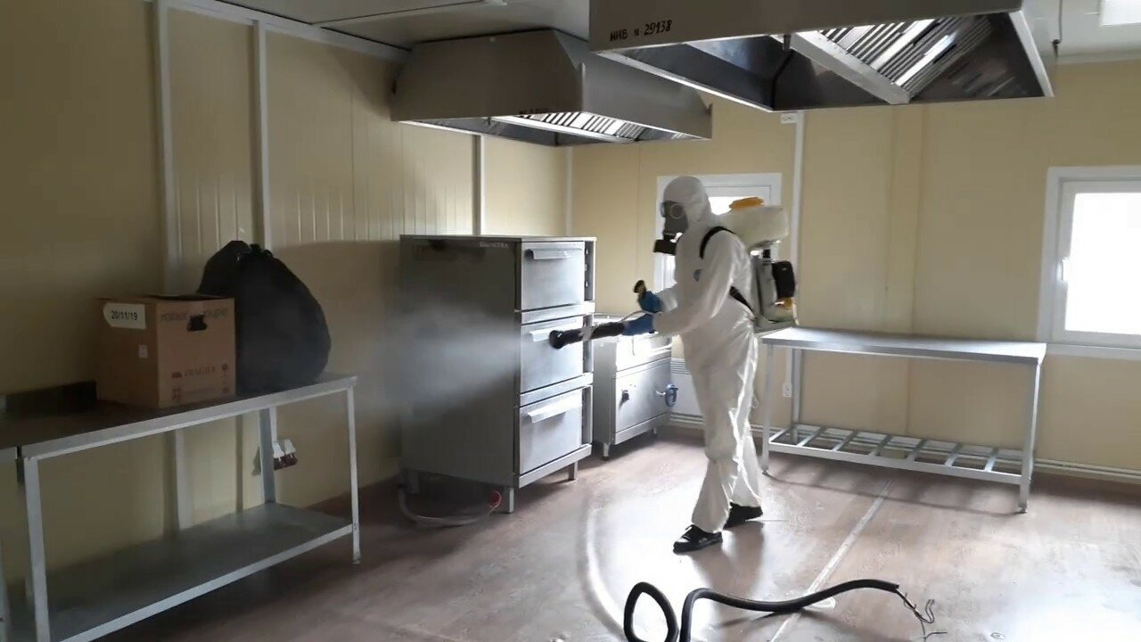 ФОТО Можно ли провести дезинсекцию самостоятельно и какие существуют риски в Романовке? | подробно