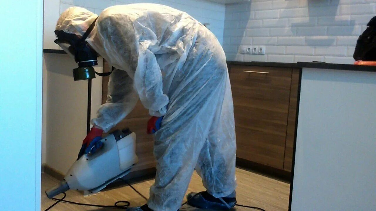 ФОТО Как подготовить домашних животных к обработке от насекомых в Романовке? | подробно