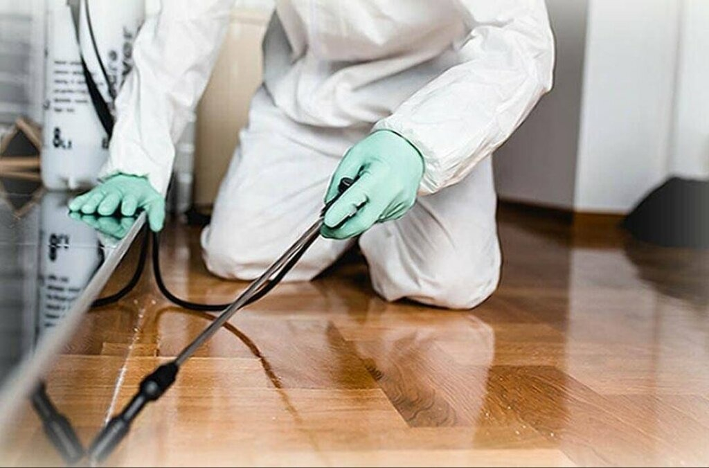 ФОТО Как подготовить вентиляцию при предстоящей дезинсекции в Романовке?