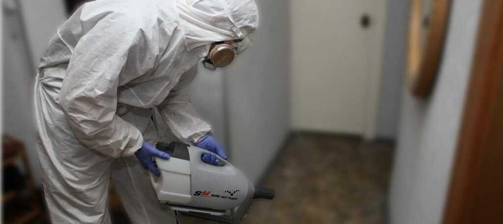 ФОТО Остаются ли следы после обработки квартиры от насекомых в Романовке? | подробно