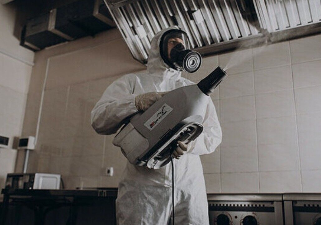 ФОТО Как проветривать помещение после обработки от насекомых в Романовке? | подробно