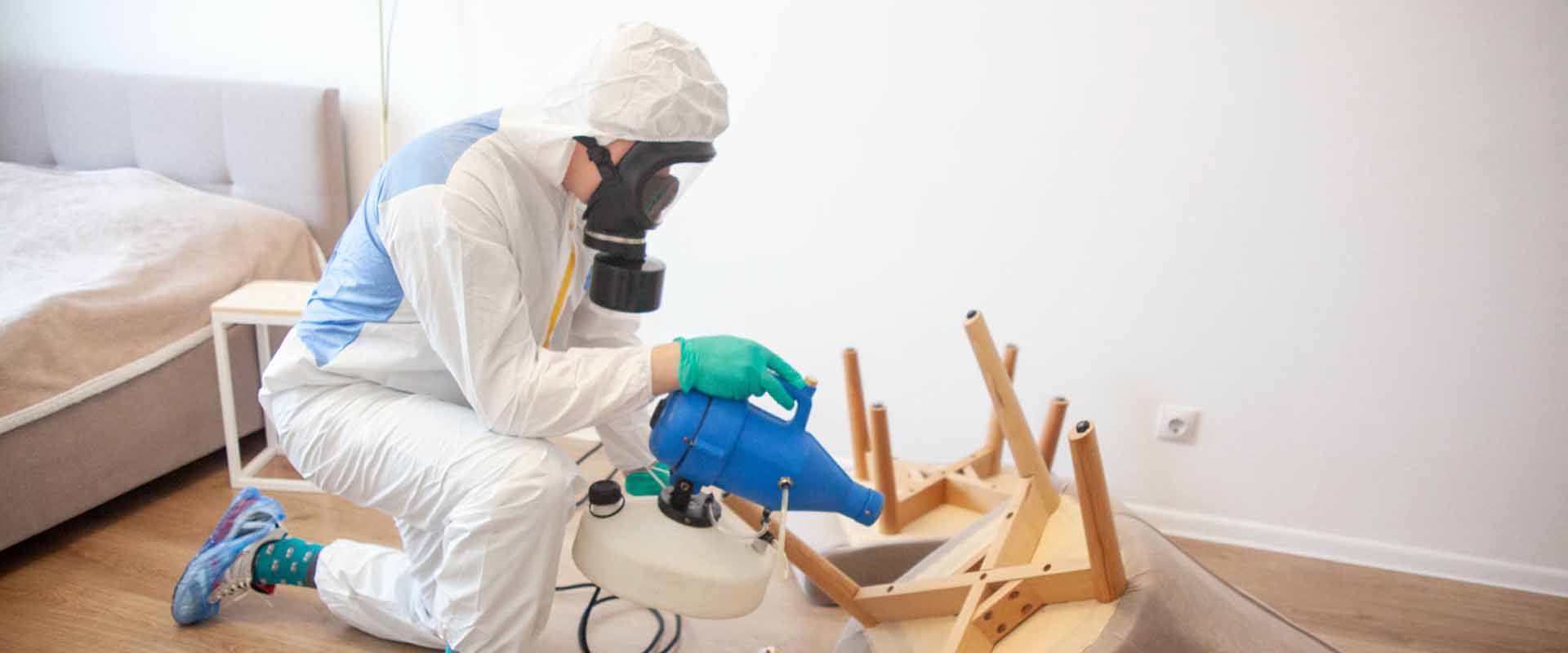 фото: Уничтожение постельных клопов с 1-го раза с гарантией за 30-60 мин. в Романовке без предоплаты