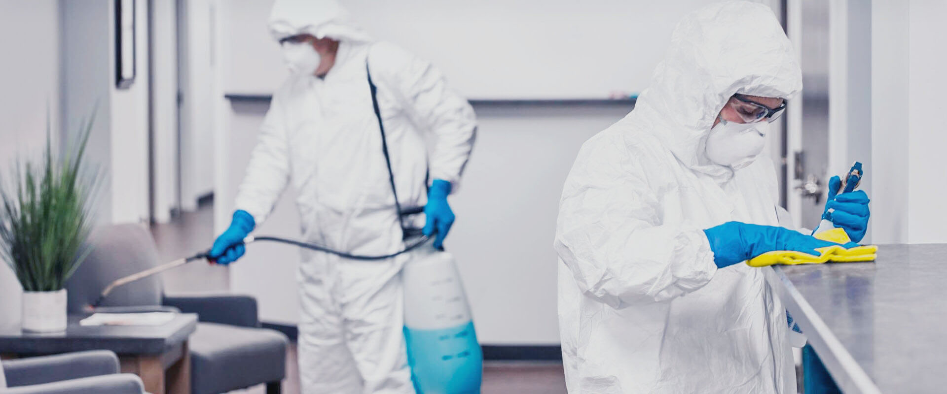 фото: Профессиональная дезинфекция в Романовке: <br/>+7-909-173-42-96