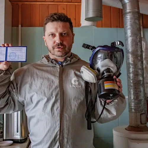 фото: удаление плесени